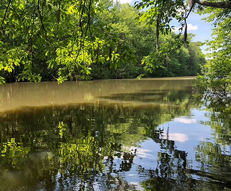 The Savannah River