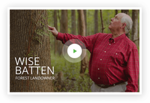 Wise Batten - Landowner with a tree
